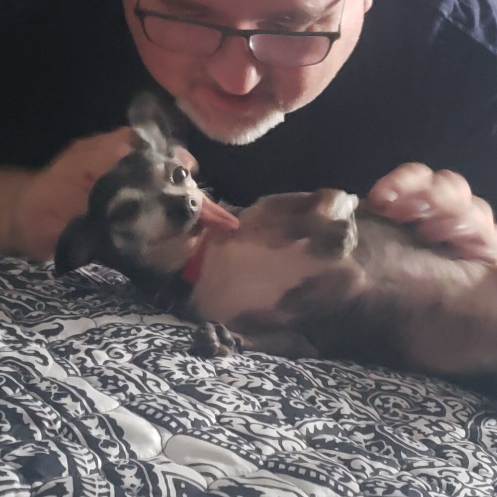 The Pepe' Animal Foundation !!!! - Picture 6 of 16